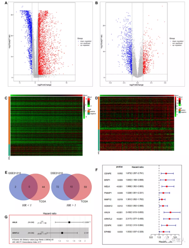 Pd L Mrna