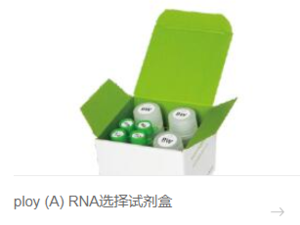 ploy (A) RNA选择试剂盒