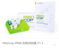 RiboCop rRNA 去除试剂盒 V1.3 (人/小鼠/大鼠)